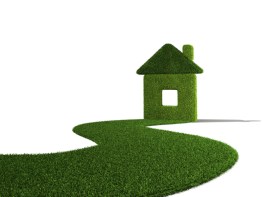 Grass 3D house