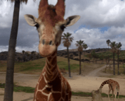 What Are Tax Deductible Summertime Activities?