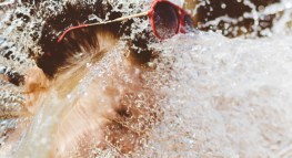 Is My ALS Ice Bucket Challenge Donation Tax Deductible?