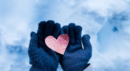 End of Year Charitable Giving Tips This Giving Tuesday