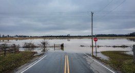 IRS Gives Tax Relief to Victims of Hurricane Harvey and Hurricane Irma