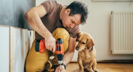 Self-Employed for a Few Months? What You Should Know
