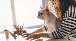 Is Your Pet Insta Famous? Here’s What It Means for Your Taxes