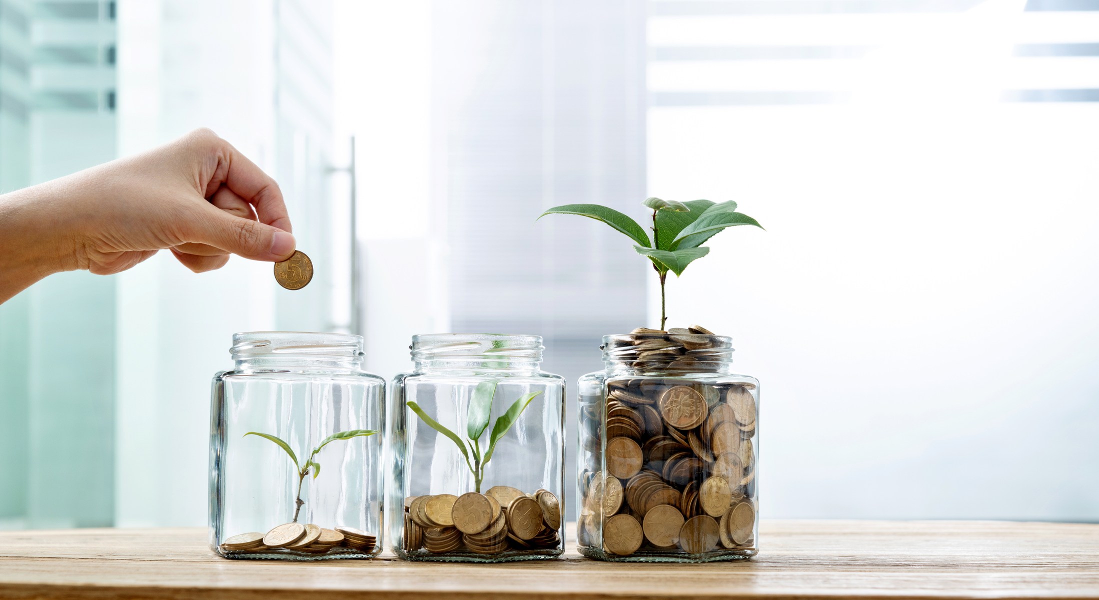 coins-and-plants-jars