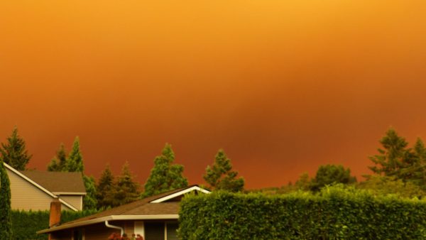 IRS Announces Tax Relief for Victims of Oregon Wildfires