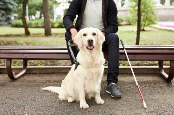 Image of a man with a can sitting on a park bench with a service dog.