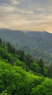 Smoky Mountains Tennessee