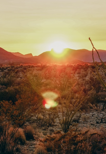 A sunset in the desert of west texas